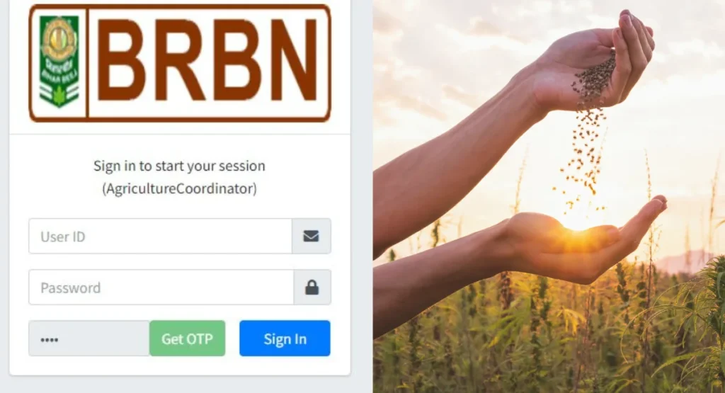 this image shown in How to Use BRBN AC Login.